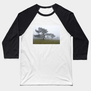 Ancient trees shrouded in fog Baseball T-Shirt